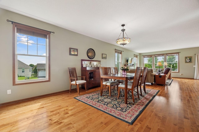 3783 Terra Vista Way, Chaska, MN 55318 - photo 13