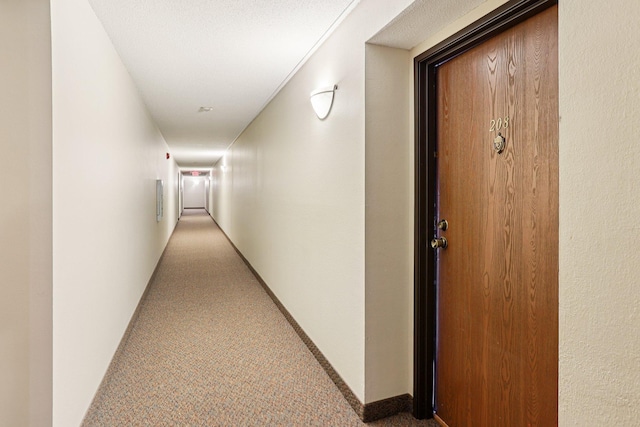 4350 Trenton Ln N Unit 208, Plymouth, MN 55442 - photo 25