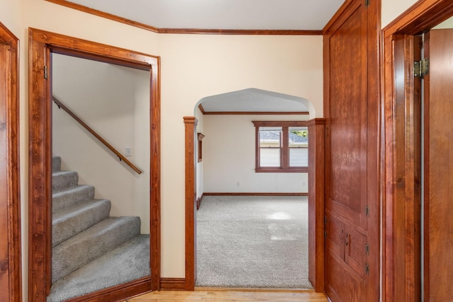 267 Haskell St E, West Saint Paul, MN 55118 - photo 15
