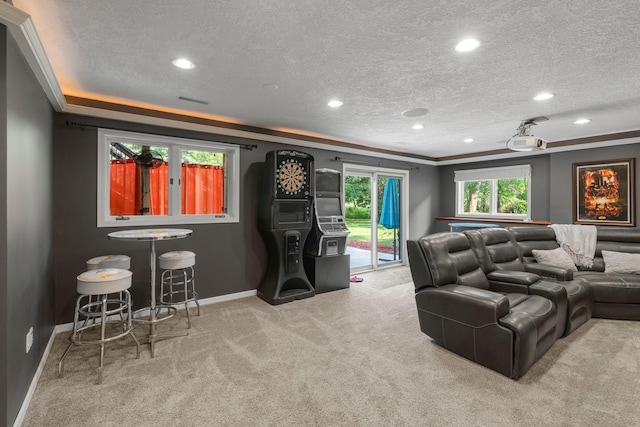11412 Rosemill Ct, Champlin, MN 55316 - photo 36