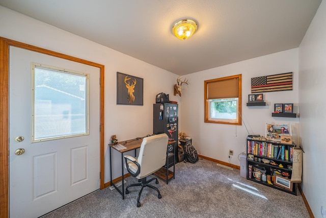 306 3rd Ave SE, Pelican Rapids, MN 56572 - photo 22