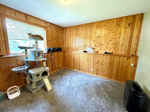 903 28th Ave N, Menomonie, WI 54751 - photo 9