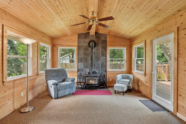 6710 117th Ave N, Champlin, MN 55316 - photo 7