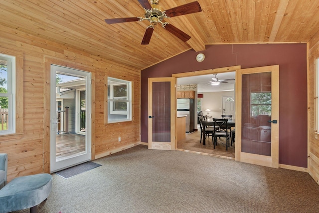 6710 117th Ave N, Champlin, MN 55316 - photo 8