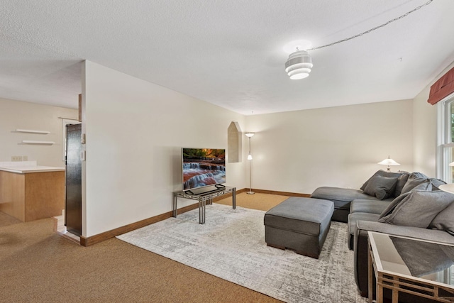 6710 117th Ave N, Champlin, MN 55316 - photo 11