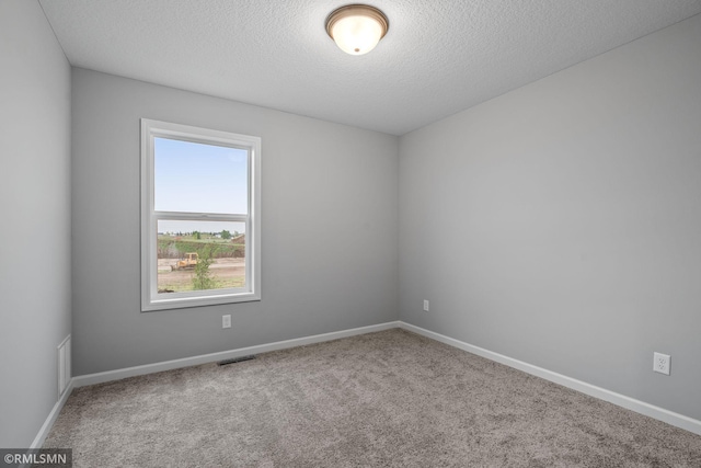 6825 104th St S, Cottage Grove, MN 55016 - photo 14