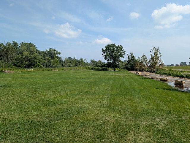 6825 104th St S, Cottage Grove, MN 55016 - photo 21