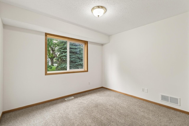 11023 Frankfort Pkwy NE, Saint Michael, MN 55376 - photo 20