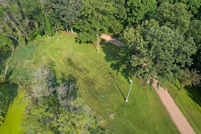 10366 Fenner Ave SE, Delano, MN 55328 - photo 13