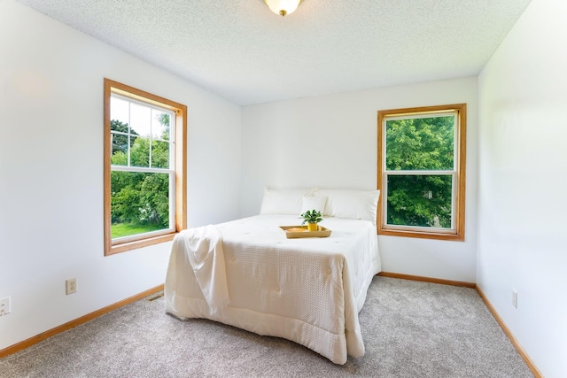 1810 44th Ave N, Minneapolis, MN 55412 - photo 11