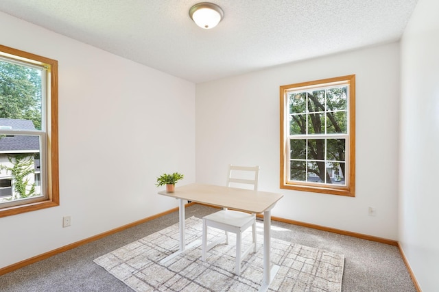 1810 44th Ave N, Minneapolis, MN 55412 - photo 9