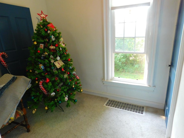 906 Russell St, Saint Paul, MN 55106 - photo 8