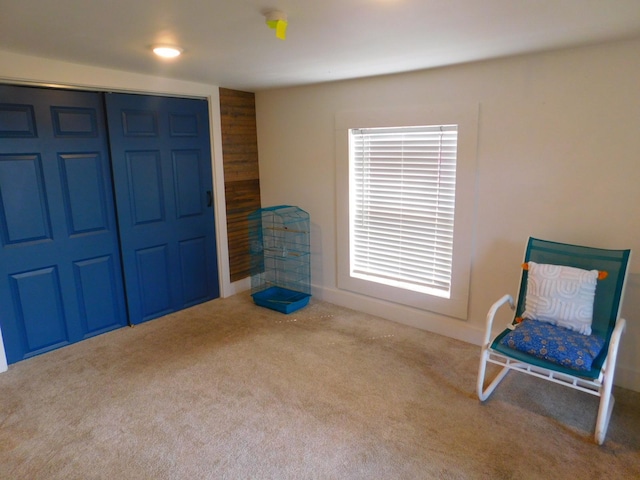 906 Russell St, Saint Paul, MN 55106 - photo 17