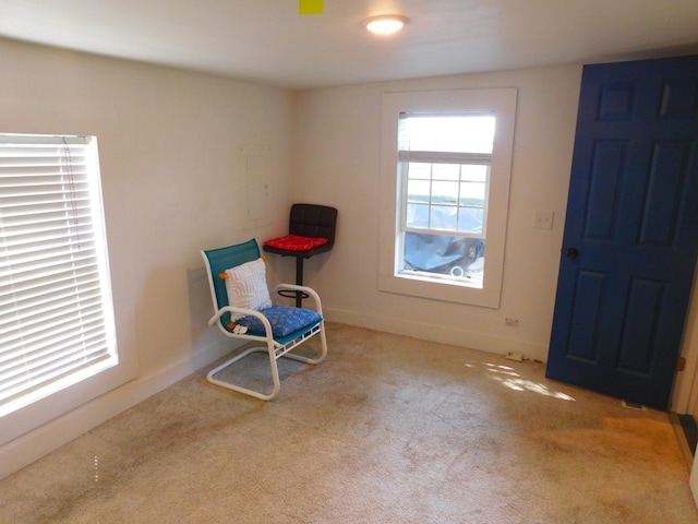 906 Russell St, Saint Paul, MN 55106 - photo 18