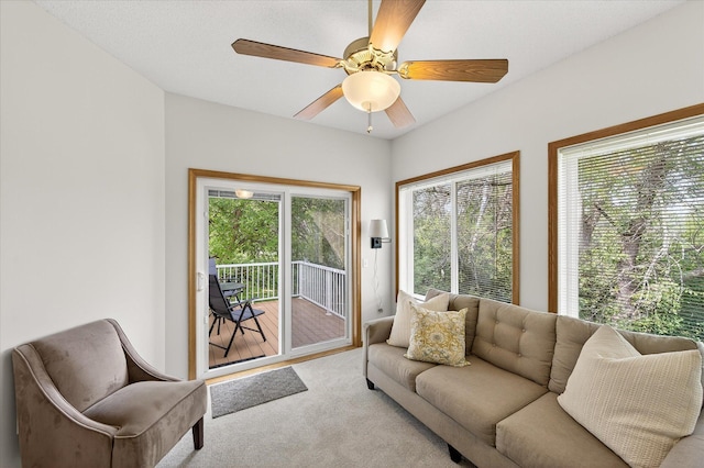 17480 92nd Ave N, Maple Grove, MN 55311 - photo 10