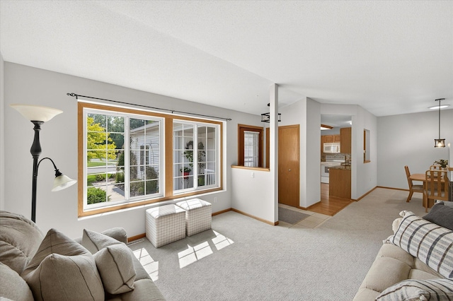 17480 92nd Ave N, Maple Grove, MN 55311 - photo 12