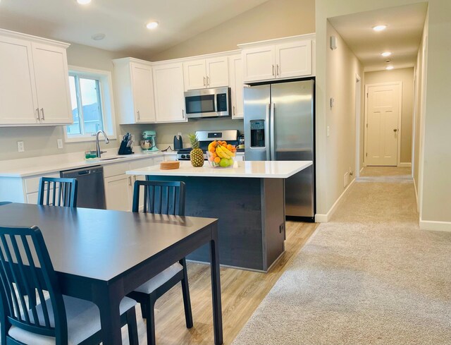 1107 Tiger Ct NE, Isanti, MN 55040 - photo 4