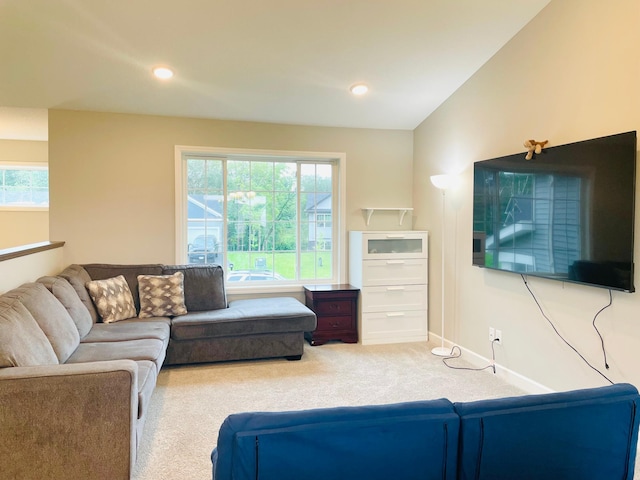 1107 Tiger Ct NE, Isanti, MN 55040 - photo 8