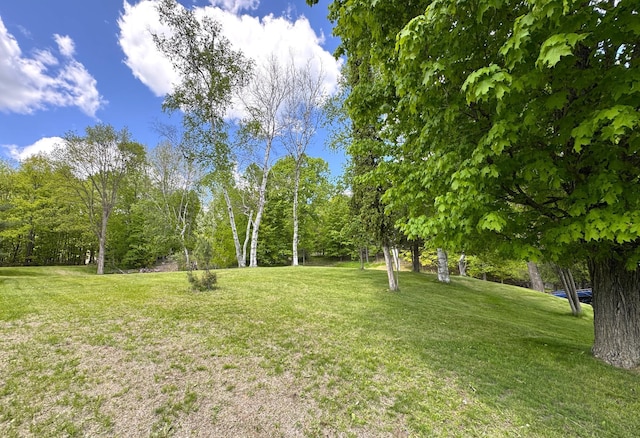 29636 440th Ave, Aitkin, MN 56431 - photo 23