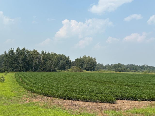 304XX Jodrell St NE, Cambridge, MN 55008 - photo 1