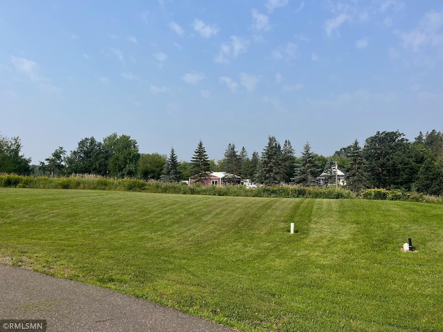 LOT7 Red Oak Ct, Aitkin, MN 56431 - photo 6
