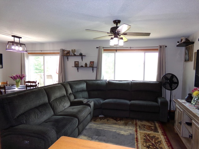 37851 Gerald Ave, North Branch, MN 55056 - photo 4
