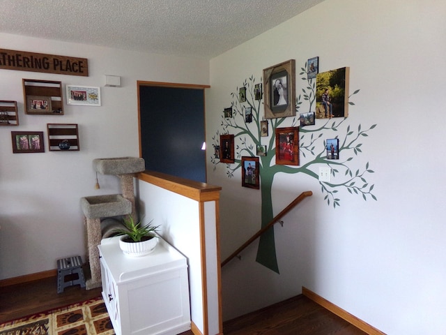 37851 Gerald Ave, North Branch, MN 55056 - photo 9