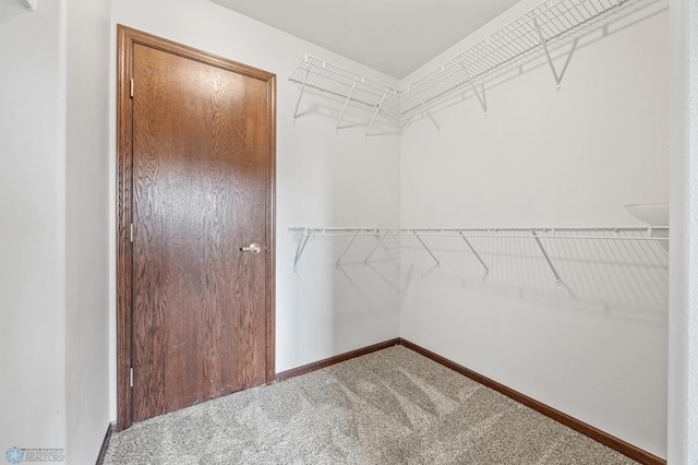 1317 5th St NW, West Fargo, ND 58078 - photo 12