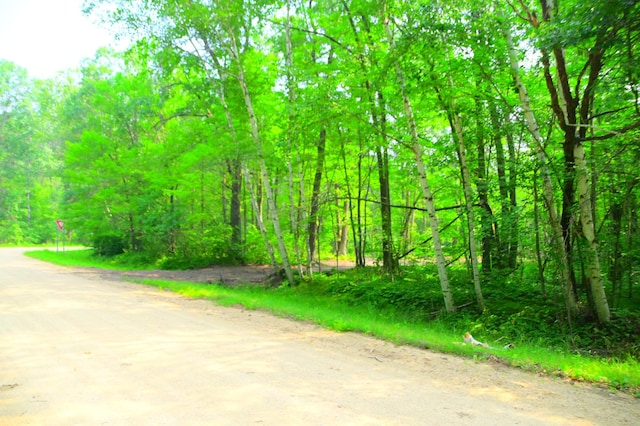 LOT27BLOCK4 Ode Cir, Browerville, MN 56438 - photo 1