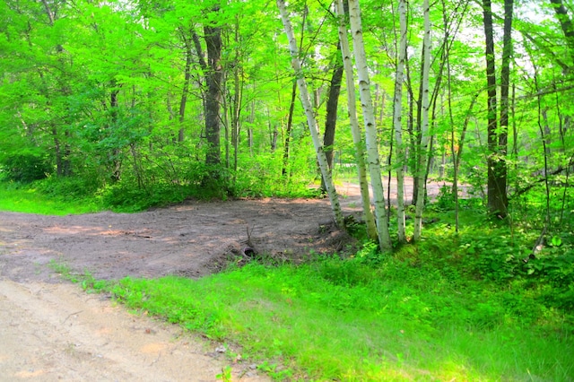 LOT27BLOCK4 Ode Cir, Browerville, MN 56438 - photo 2