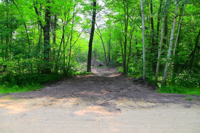 LOT27BLOCK4 Ode Cir, Browerville, MN 56438 - photo 3