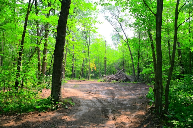 LOT27BLOCK4 Ode Cir, Browerville, MN 56438 - photo 4