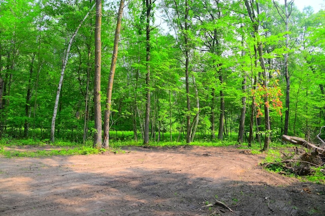 LOT27BLOCK4 Ode Cir, Browerville, MN 56438 - photo 5
