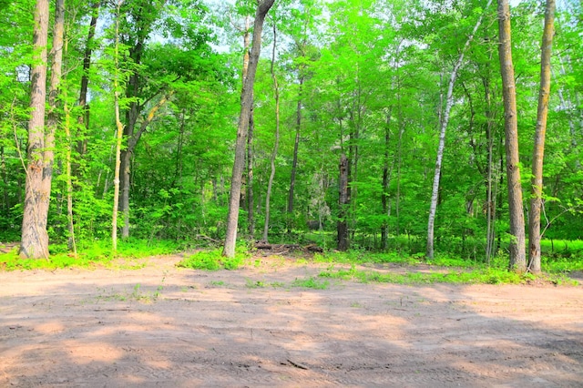 LOT27BLOCK4 Ode Cir, Browerville, MN 56438 - photo 6