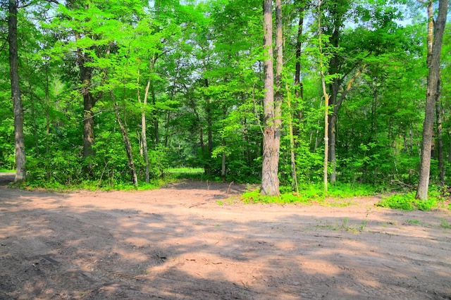 LOT27BLOCK4 Ode Cir, Browerville, MN 56438 - photo 7