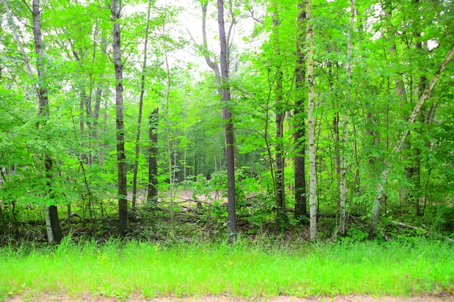 LOT27BLOCK4 Ode Cir, Browerville, MN 56438 - photo 11