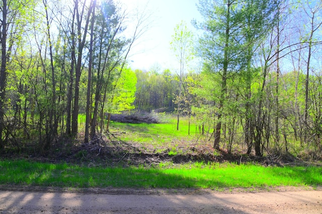 16 Oberon Loop, Moran Twp, MN 56438 - photo 5