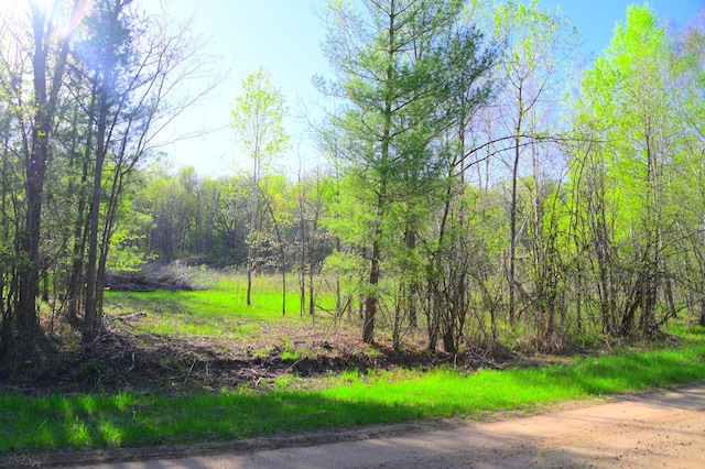 16 Oberon Loop, Moran Twp, MN 56438 - photo 7