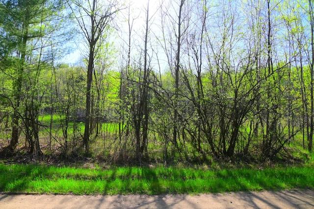 16 Oberon Loop, Moran Twp, MN 56438 - photo 9