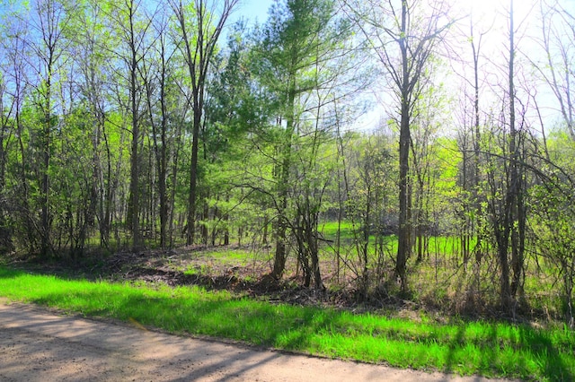 16 Oberon Loop, Moran Twp, MN 56438 - photo 10