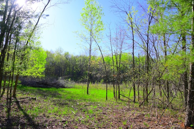 16 Oberon Loop, Moran Twp, MN 56438 - photo 11