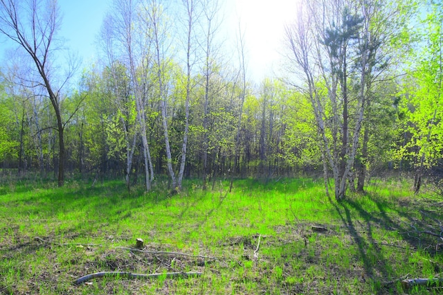 16 Oberon Loop, Moran Twp, MN 56438 - photo 14