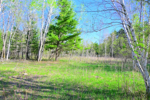16 Oberon Loop, Moran Twp, MN 56438 - photo 17
