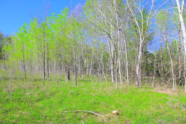 16 Oberon Loop, Moran Twp, MN 56438 - photo 18