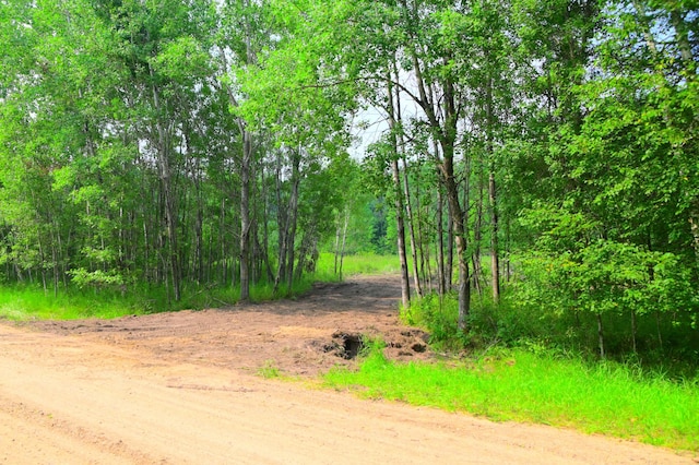 14 Oberon Loop, Moran Twp, MN 56438 - photo 1