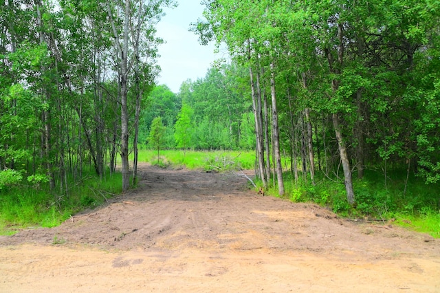 14 Oberon Loop, Moran Twp, MN 56438 - photo 2