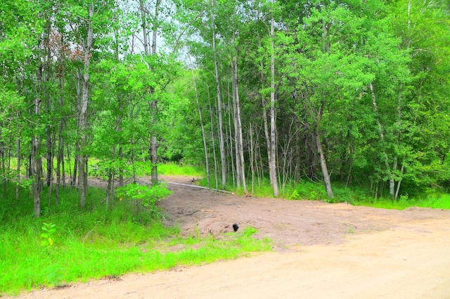 14 Oberon Loop, Moran Twp, MN 56438 - photo 3