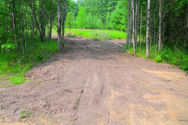 14 Oberon Loop, Moran Twp, MN 56438 - photo 4