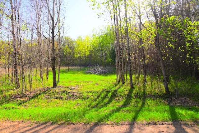 14 Oberon Loop, Moran Twp, MN 56438 - photo 6