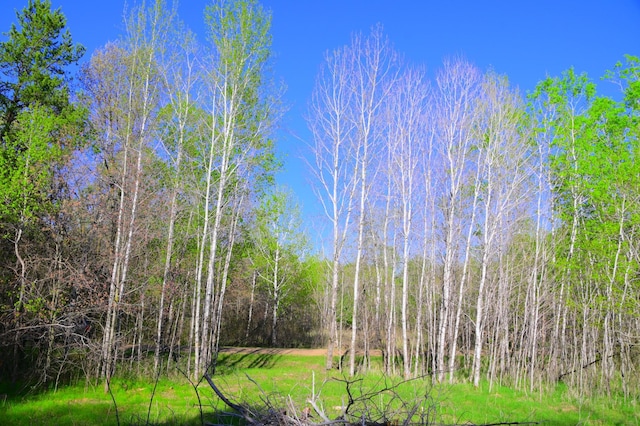14 Oberon Loop, Moran Twp, MN 56438 - photo 8